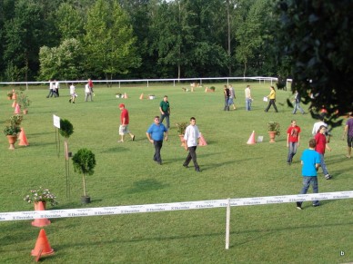 II. Amatőr Fogathajtó verseny - Fotó: Jászberény Online / Suba Bea