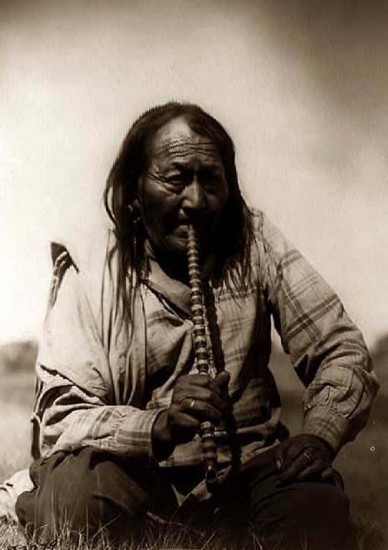 indian pipe