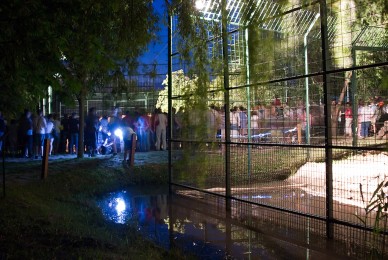 Állatkerti éjszaka - Fotó: Jászberény Online / Szalai György