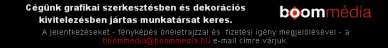 boom grafikus állás