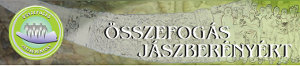 Összefogas Jászberényért