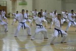 Shinkyokushin Harcművész Szövetség 1. Nyári Edzőtábora - Fotó: Fekete T.
