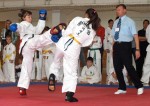 taekwon do